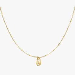 Kaurimuschel Kette Edelstahl – flach fotografiert auf hellem Hintergrund